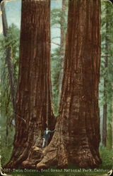 Twin Sisters, Genl Grant National Park Postcard