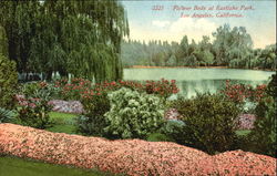 Flower Beds At Eastlake Park Postcard