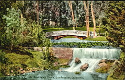 At Eastlake Park Postcard