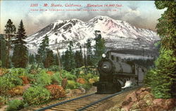 Mt. Shasta California Postcard Postcard