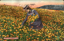 In Poppy Land Flowers Postcard Postcard