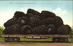 A Carload Of Blackberries Fruit Postcard Postcard