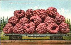 A Carload Of Raspberries Postcard