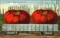 A Carload Of Tomatoes Postcard