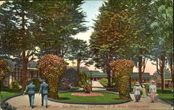 Presidio Grounds Postcard