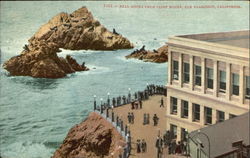 Seal Rock From Cliff House Postcard