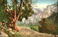 Falls From Big Oak California Postcard Postcard