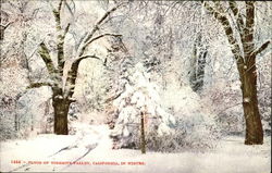 Floor Of Yosemite Valley California Yosemite National Park Postcard Postcard