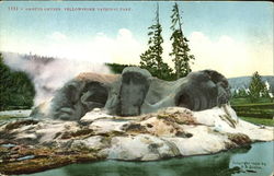 Grotto Geyser, Yellowstone National Park Postcard Postcard