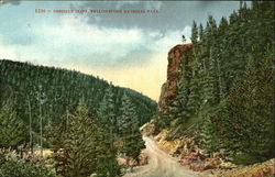 Obsidian Cliff, Yellowstone National Park Postcard