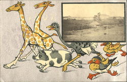 Group of Animals Running Japan Postcard Postcard