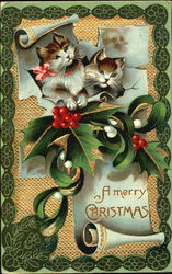 Christmas Kittens with Holly Postcard Postcard