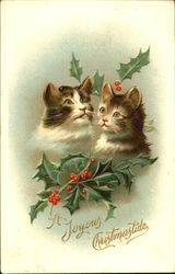 Cat and kitten with holly Postcard