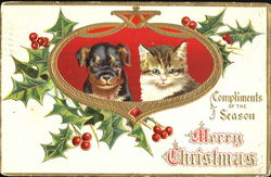 Cute kitten and pup Christmas Postcard Postcard