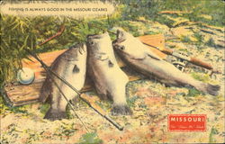 Fishing Is Always Good In The Missouri Ozarks Postcard