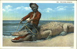 The Home Stretch Alligators Postcard Postcard