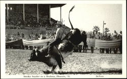 Smoky Snyder On A Brahma 1941 Postcard