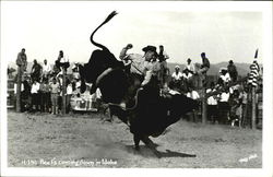 Beef's Coming Down In Idaho Postcard