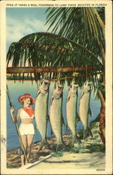 It Takes A Real Fisherman To Land These Beauties In Florida Postcard