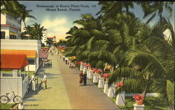 Promenade At Roney Plaza Pools Miami Beach, FL Postcard Postcard