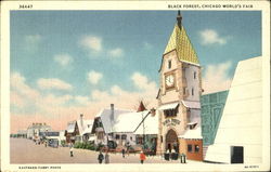 Black Forest Chicago World's Fair Postcard