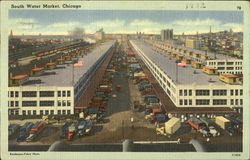 South Water Market Postcard