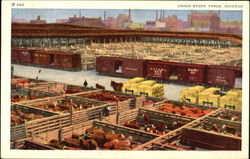 Union Stock Yards Chicago, IL Postcard Postcard