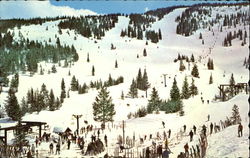 Vista from Mid Vail Restaurant Colorado Postcard Postcard