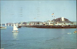 Sailing Races at Stone Harbor Yacht Club Postcard