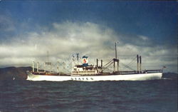 States Steamship Postcard