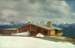 HURRICANE RIDGE LODGE Postcard