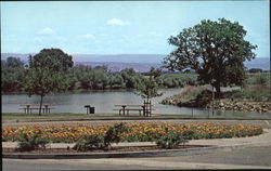 City Park Along the Sacramento River Red Bluff, CA Postcard Postcard