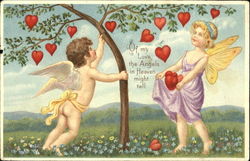 Cupids Collecting Hearts off of Tree Postcard