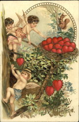 Three cupids picking hearts from a tree Postcard