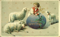 Little Boy and WHite Lambs Postcard