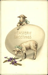 Lambs with Egg Postcard