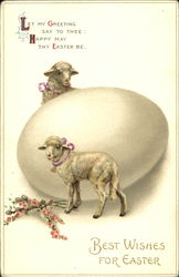 Two lambs with big egg Postcard