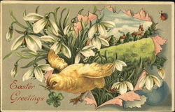 A chick jumping through a rip in a peper and snowbells Postcard