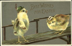 Chicks in Hats With Chicks Postcard Postcard