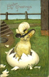 Chick with feathered hat hatching from egg With Chicks Postcard Postcard