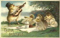 Chicks Having a Picnic With Chicks Postcard Postcard