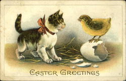 Kitten and Chick Postcard Postcard