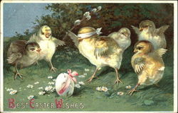 Chicks Playing Blindman's Bluff With Chicks Postcard Postcard