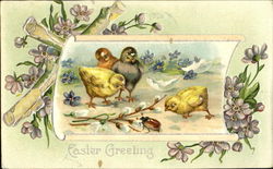 Chicks looking at a bug With Chicks Postcard Postcard