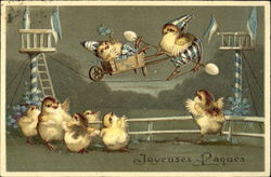 Chicks performing and watching a tightrope act Postcard