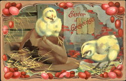 Two baby chicks sitting on old brown hat With Chicks Postcard Postcard