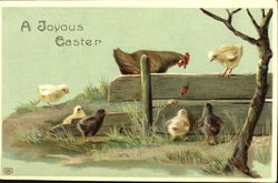 Chicks and a Rooster by Fence Postcard