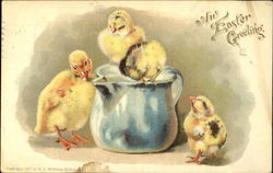 Four chicks playing with on a pitcher With Chicks Postcard Postcard