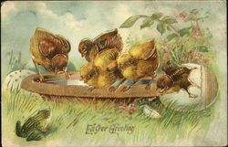 5 chicks, bird bath, frog With Chicks Postcard Postcard