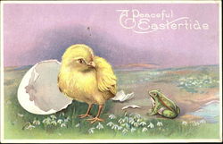 A chick looking at a frog Postcard